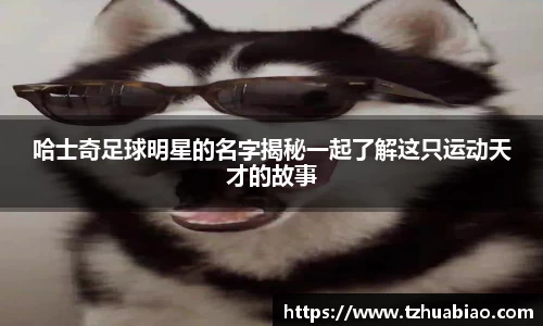 哈士奇足球明星的名字揭秘一起了解这只运动天才的故事