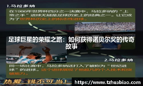 星空·综合体育官方网站